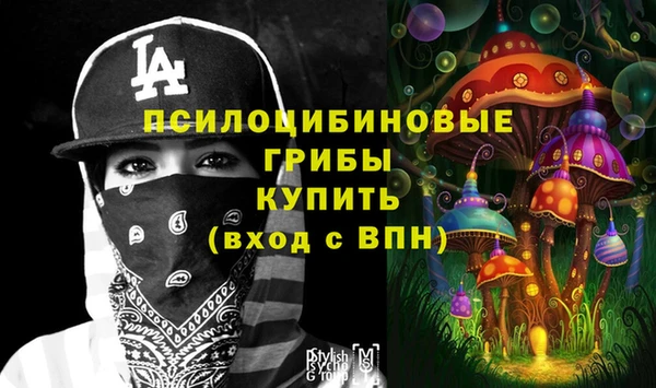 ешки Алзамай