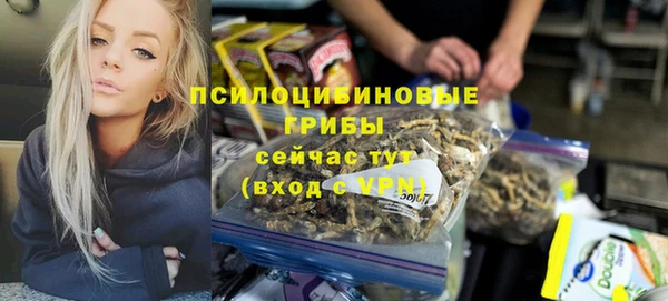 героин Алексин