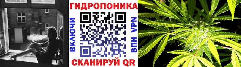 omg маркетплейс  Копейск  Бошки марихуана план 